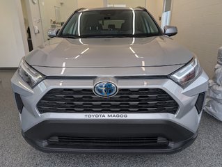 Toyota RAV4 Hybrid XLE AWD, 2024 à Magog, Québec - 5 - w320h240px