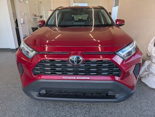 2024 Toyota RAV4 XLE AWD in Magog, Quebec - 5 - w320h240px
