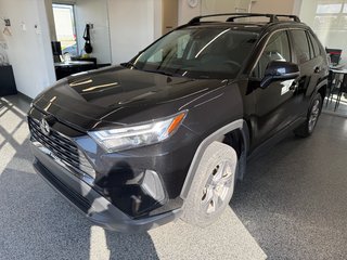 2025 Toyota RAV4 XLE AWD in Magog, Quebec - 5 - w320h240px