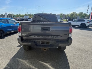 2023 Toyota Tacoma TRD SPORT 4X4 in Magog, Quebec - 5 - w320h240px