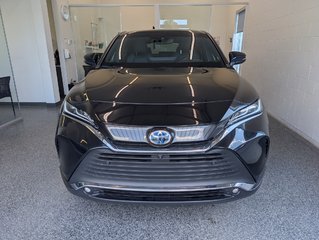 2024 Toyota Venza LIMITED AWD, in Magog, Quebec - 5 - w320h240px