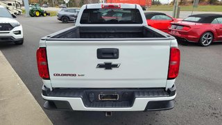 Chevrolet Colorado 4WD Work Truck 2019 à Matane, Québec - 6 - w320h240px