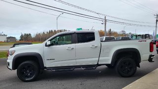 Chevrolet Colorado 4WD Work Truck 2019 à Matane, Québec - 4 - w320h240px