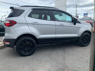 Ford EcoSport SES  AWD 2020 à Matane, Québec - 5 - w320h240px