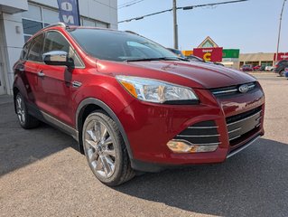 Ford Escape SE 2016 à Matane, Québec - 6 - w320h240px