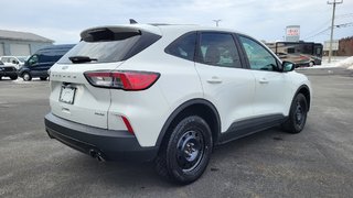 2021 Ford Escape SE   AWD ENSEMBLE DECOR SPORT in Matane, Quebec - 5 - w320h240px