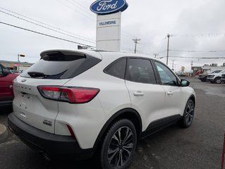 Ford Escape SE   AWD ENSEMBLE DECOR SPORT 2021 à Matane, Québec - 4 - w320h240px
