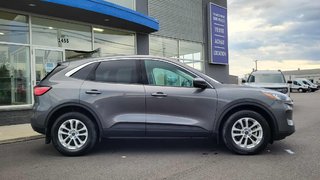 Ford Escape SE Hybrid 2021 à Matane, Québec - 5 - w320h240px