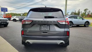 Ford Escape SE Hybrid 2021 à Matane, Québec - 2 - w320h240px