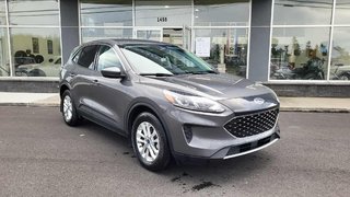 Ford Escape SE Hybrid 2021 à Matane, Québec - 6 - w320h240px