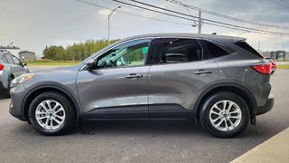 Ford Escape SE Hybrid 2021 à Matane, Québec - 3 - w320h240px