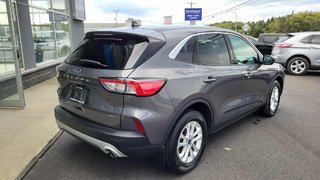 Ford Escape SE Hybrid 2021 à Matane, Québec - 4 - w320h240px