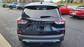 2021 Ford Escape SE in Matane, Quebec - 5 - w320h240px