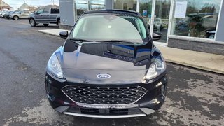 2021 Ford Escape SE in Matane, Quebec - 3 - w320h240px