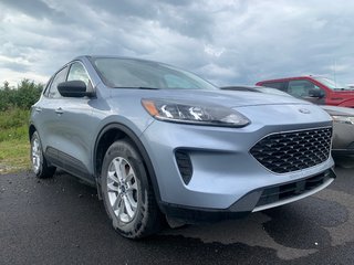 Ford Escape SE Hybrid  AWD 2022 à Matane, Québec - 2 - w320h240px