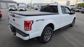 Ford F-150 XLT SPORT  301A 2015 à Matane, Québec - 5 - w320h240px