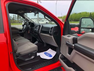2016 Ford F-150 XLT  300A in Matane, Quebec - 6 - w320h240px