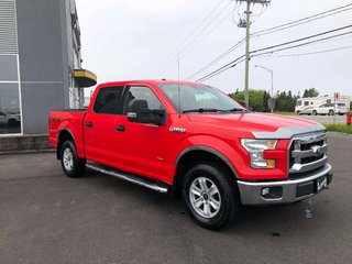 2016 Ford F-150 XLT  300A in Matane, Quebec - 2 - w320h240px