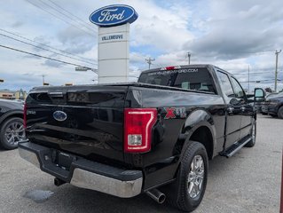 Ford F-150 XLT Remorquage Max 2017 à Matane, Québec - 5 - w320h240px