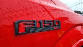 Ford F-150 XLT SPORT  302A   ÉDITION SPÉCIALE 2019 à Matane, Québec - 4 - w320h240px