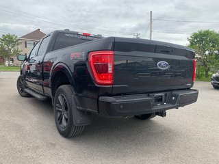 Ford F-150 XLT  SPORT 302A  FX4 2021 à Matane, Québec - 4 - w320h240px