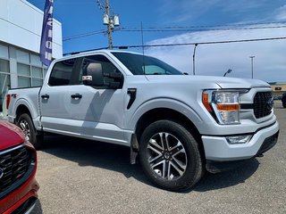 Ford F-150 XL  ENSEMBLE STX 101A 2021 à Matane, Québec - 4 - w320h240px
