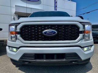 Ford F-150 XL  ENSEMBLE STX 101A 2021 à Matane, Québec - 6 - w320h240px
