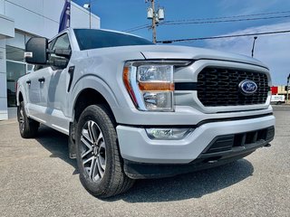 Ford F-150 XL  ENSEMBLE STX 101A 2021 à Matane, Québec - 2 - w320h240px