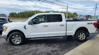 2021 Ford F-150 XLT  301A   ENSEMBLE XTR in Matane, Quebec - 4 - w320h240px