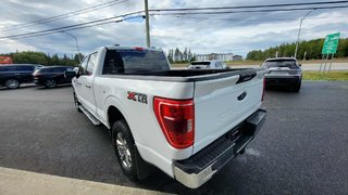 2021 Ford F-150 XLT  301A   ENSEMBLE XTR in Matane, Quebec - 5 - w320h240px