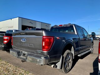 Ford F-150 XLT XTR 2021 à Matane, Québec - 3 - w320h240px