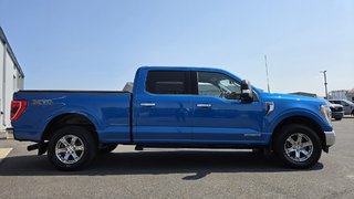 Ford F-150 XLT  ENSEMBLE XTR 302A 2021 à Matane, Québec - 4 - w320h240px