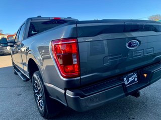 Ford F-150 XLT  SPORT  302A 2022 à Matane, Québec - 6 - w320h240px