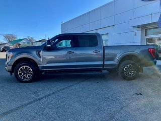 Ford F-150 XLT  SPORT  302A 2022 à Matane, Québec - 5 - w320h240px