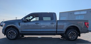 Ford F-150 XLT SPORT 302A 2022 à Matane, Québec - 2 - w320h240px