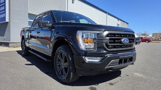 Ford F-150 XLT SPORT 302A HYBRIDE 2022 à Matane, Québec - 3 - w320h240px