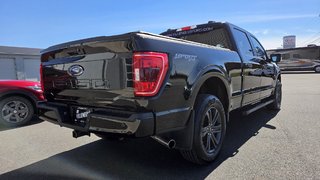 Ford F-150 XLT SPORT 302A HYBRIDE 2022 à Matane, Québec - 5 - w320h240px