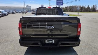 Ford F-150 XLT SPORT 302A HYBRIDE 2022 à Matane, Québec - 6 - w320h240px