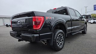Ford F-150 XLT Sport 302A   FX4  Hybride 2022 à Matane, Québec - 5 - w320h240px