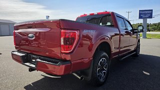 Ford F-150 XLT SPORT 302A HYBRIDE 2022 à Matane, Québec - 5 - w320h240px