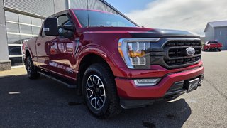 Ford F-150 XLT SPORT 302A HYBRIDE 2022 à Matane, Québec - 3 - w320h240px