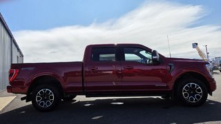 Ford F-150 XLT SPORT 302A HYBRIDE 2022 à Matane, Québec - 4 - w320h240px