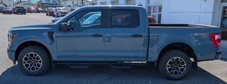Ford F-150 XL  STX 2023 à Matane, Québec - 2 - w320h240px