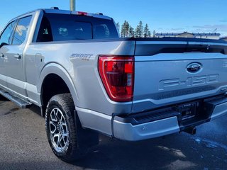 2023 Ford F-150 XLT SPORT 302A in Matane, Quebec - 4 - w320h240px