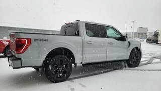 Ford F-150 XLT SPORT 302A  BLACK EDITION CUIR 2023 à Matane, Québec - 5 - w320h240px