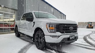 Ford F-150 XLT SPORT 302A  BLACK EDITION CUIR 2023 à Matane, Québec - 3 - w320h240px