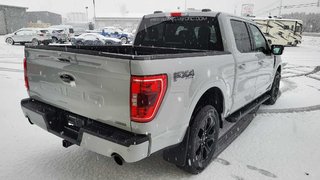 Ford F-150 XLT SPORT 302A  BLACK EDITION CUIR 2023 à Matane, Québec - 6 - w320h240px