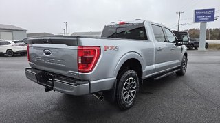 Ford F-150 XLT  SPORT 302A  FX4 2023 à Matane, Québec - 5 - w320h240px