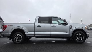 Ford F-150 XLT  SPORT 302A  FX4 2023 à Matane, Québec - 4 - w320h240px