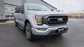 Ford F-150 XLT  SPORT 302A  FX4 2023 à Matane, Québec - 3 - w320h240px
